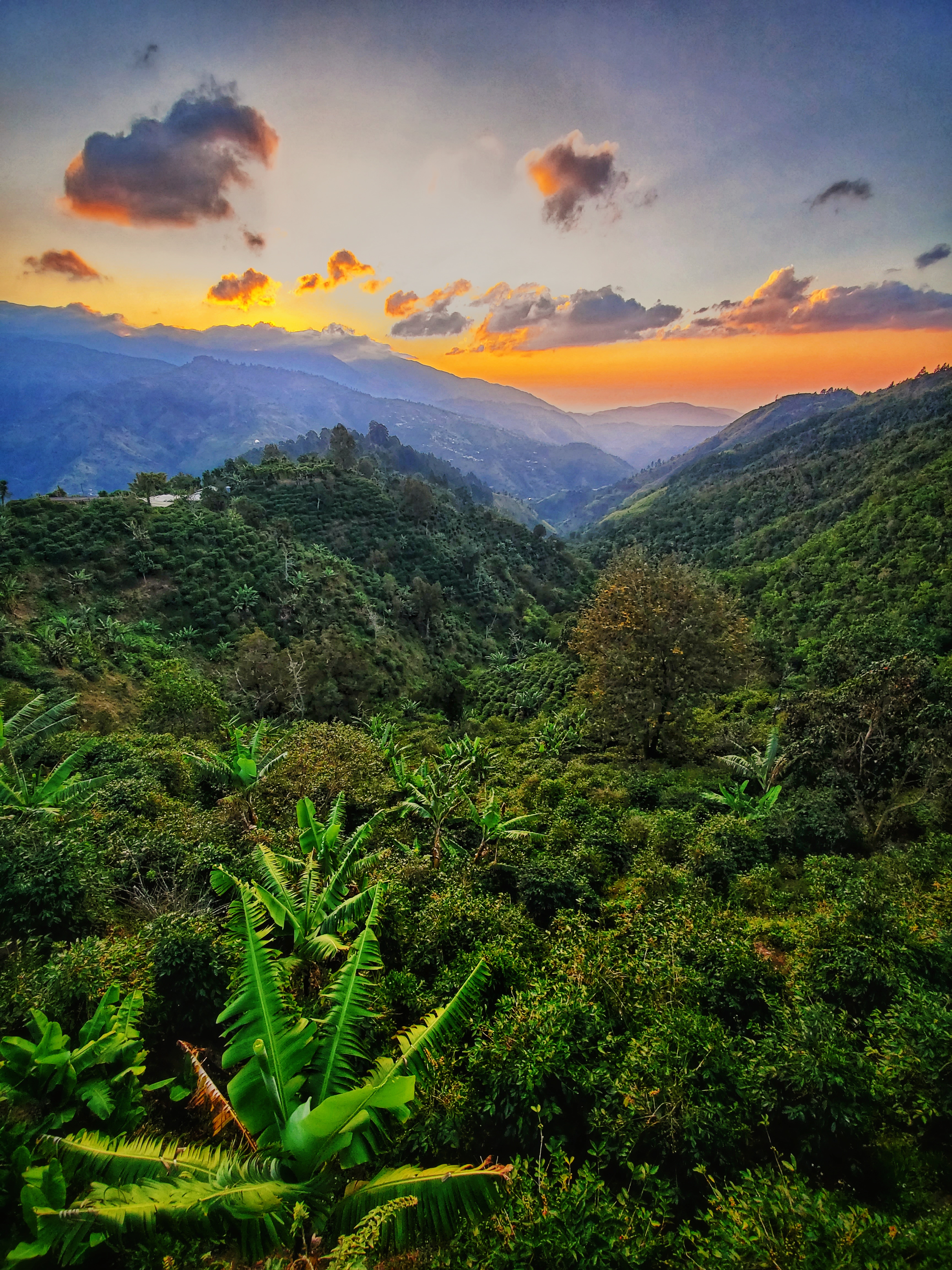 Farm.jpeg Colombia Sunrise